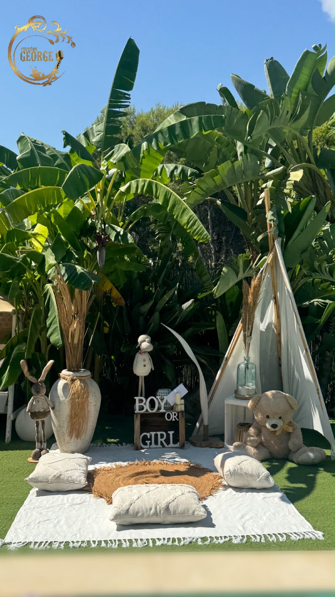 Decoración de revelación de sexo en un jardín tropical