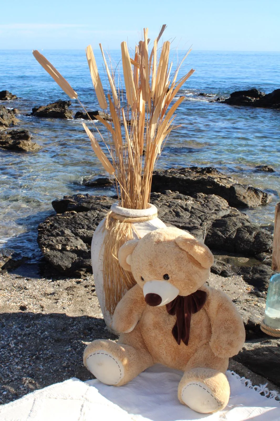 Osito y detalles naturales en una revelación de sexo en la playa